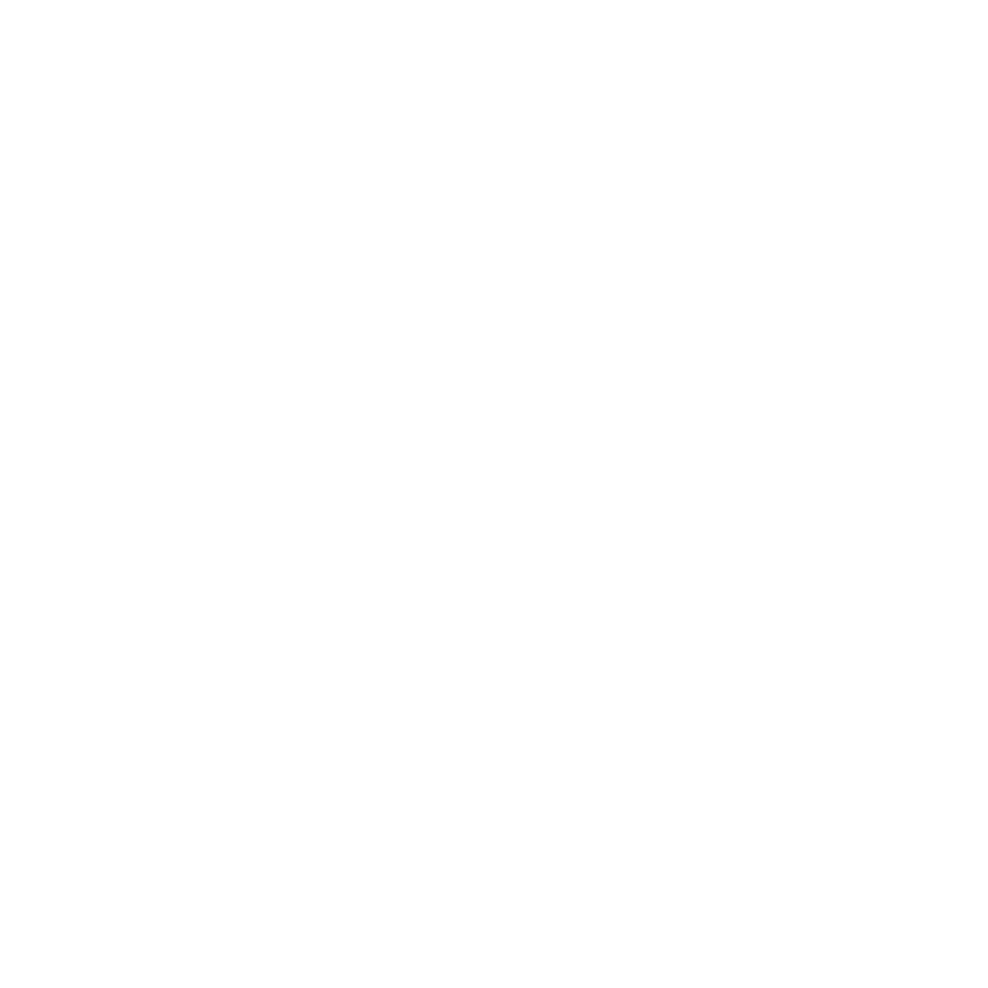 Sello de Buer